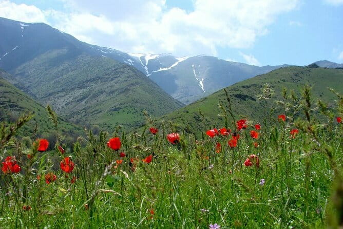1 Day Tour to Shakhrisabz: Motherland of Amir Temur - What the $45 price really buys you