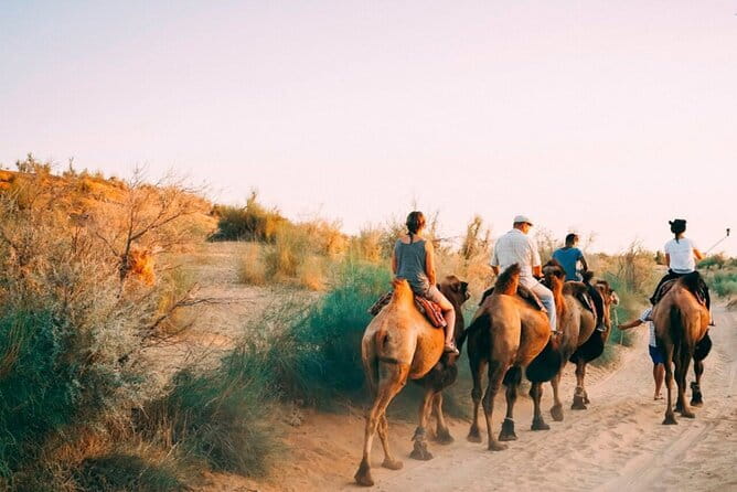 2 Days Private Safari Tour from Bukhara - Key points before you book