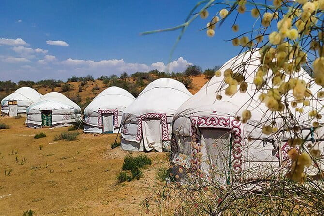2 Days Private Safari Tour from Bukhara - Aydarkul Lake and the Dungalak village visit