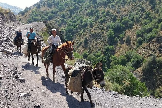 3-Day Chimgan Trekking Tour - From Tashkent to the Beldersoy mountains
