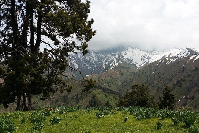 3-Day Chimgan Trekking Tour - What the first night in camp is really like