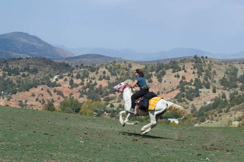 Amirsoy, Chimgan & Charvak Full-Day Adventure - Guides make the long day easier