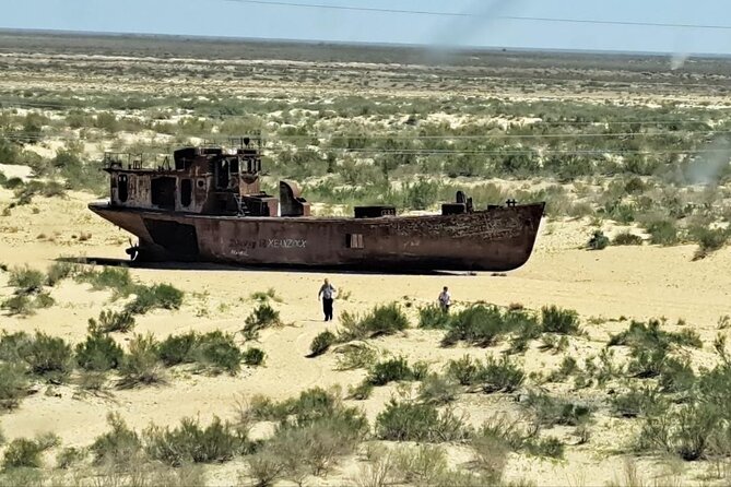 Aral Sea One Day Tour from Tashkent - Timing, fitness, and the small-group setup