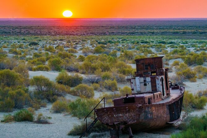 Aral Sea One Day Tour from Tashkent - Nukus and the Savitsky Museum