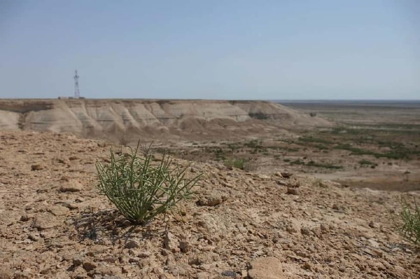 Aral Sea Tour from Nukus 1 night / 2 days - Muynak and the ship cemetery