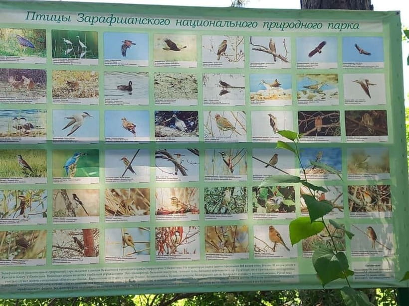 Bird Watching Tours in Samarkand - Key points to know before booking