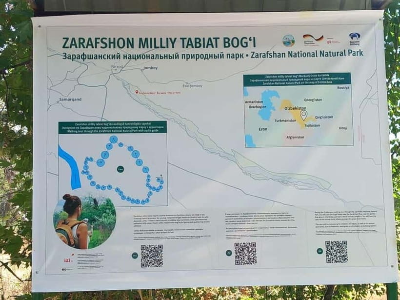 Bird Watching Tours in Samarkand - Aqdarya and Ishtixan: water, tamarisk, and open country