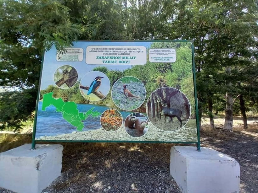 Bird Watching Tours in Samarkand - Zeravshan Reserve: river woods close to the city