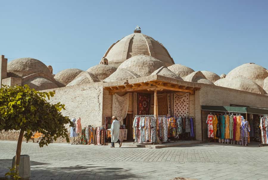 Bukhara: Full-Day Guided Tour with English-Speaking Guide - Why this Bukhara tour works well