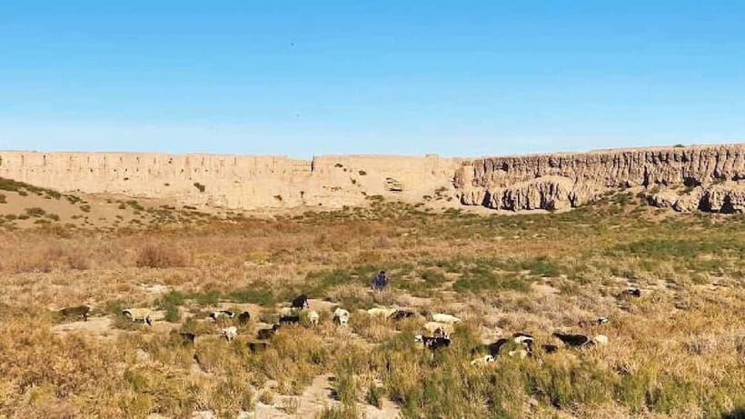 Daytrip from Khiva to Five Ancient Fortresses - Who should book this five-fortress day?