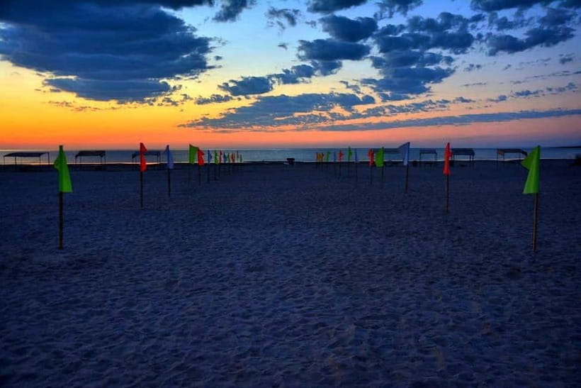 Desert Adventure from Samarkand: Yurt Camp & Aydarkul Escape - Key points before you book