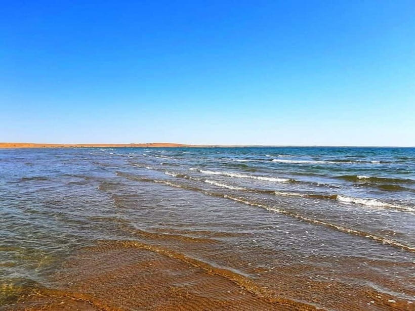 Desert Adventure from Samarkand: Yurt Camp & Aydarkul Escape - Aydarkul Lake, a blue break in a dry country