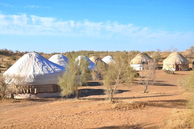 Desert yurt camp and Mountain tour - 3 days - What sleeping in the yurt really means