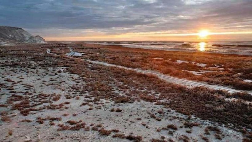 From Khiva To Aral Sea 2-Days One Night In Yurt Stay - Sleeping in a yurt beside the Aral Sea