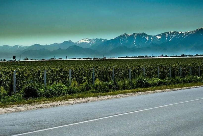 From Samarkand: Shahrisabz Day Trip & Mountain Pass Tour - Key points to know before booking