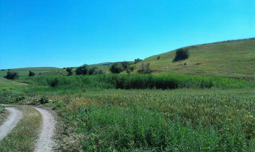 From Tashkent: Chimgan Valley Hiking Day Trip - Chimgan Valley offers more than a photo stop