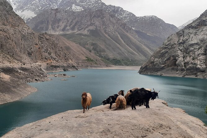 Full Day Private Tour in Seven Lakes from Samarkand - Guides, drivers, and the human side of the day