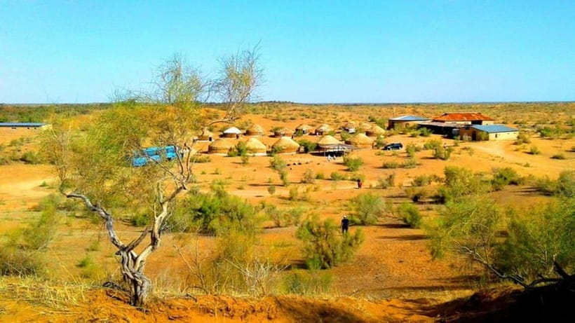 Kyzylkum Desert tour from Samarkand (1Night 2 Days) - Key points before you book