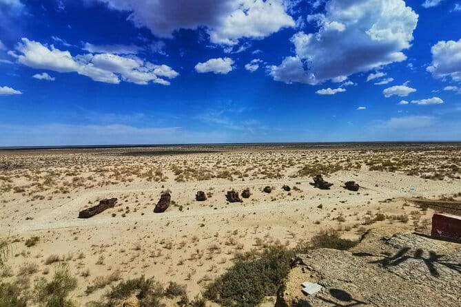 Private Daytrip to Muynak and Nukus - The ship cemetery and the vanished sea