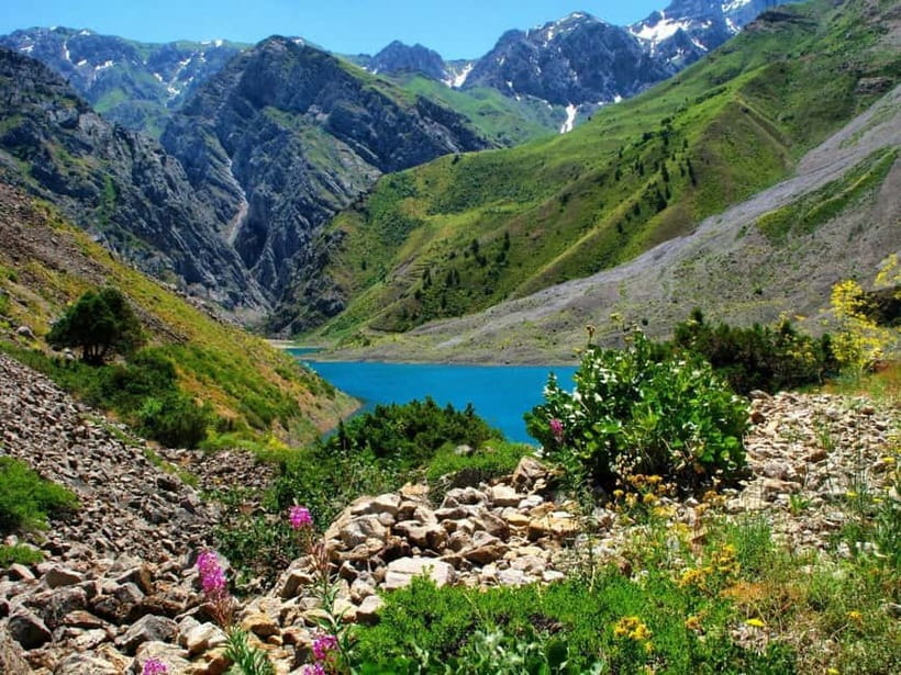 Samarkand: Shahrisabz Day Trip with Optional Local Guide - Comfort, safety, and the right pace