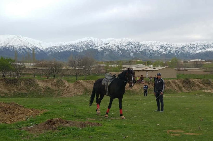Samarkand: Uloq-Kopkari (Buzkashi) Game Day Tour - The essential details at a glance