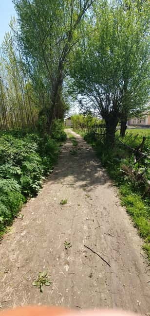Samarkand: Village Tour with Plov Cooking Class & Home Visit - Entering a family home in rural Uzbekistan