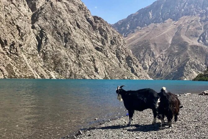 Seven Lakes Panjakent: One-Day Adventure from Samarkand - Booking, weather, and cancellation advice