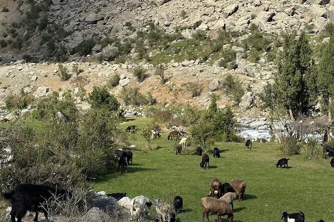 Tadjikistan 7 Lakes Day Trip from Samarkand with Lunch - Key points to know before booking