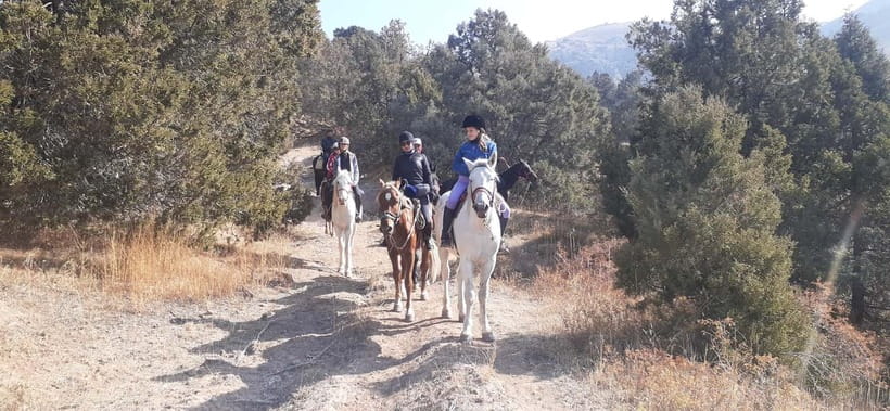 Tashkent: 3-Day Horseback Riding Tour in Chimgan Mountains - Key points to know before you book