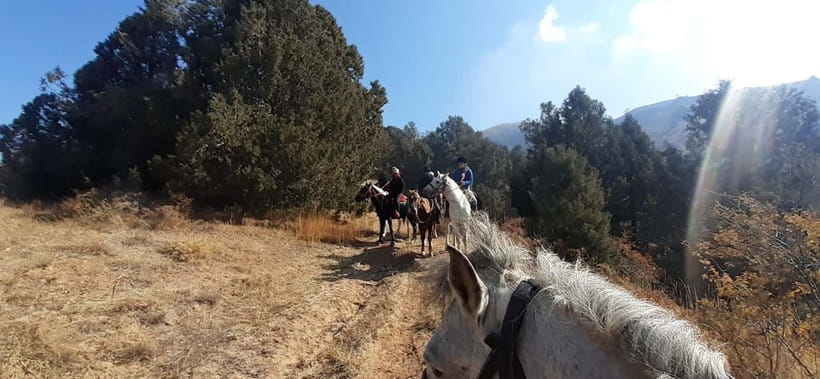 Tashkent: 3-Day Horseback Riding Tour in Chimgan Mountains - Leaving Tashkent for the Aksai Valley