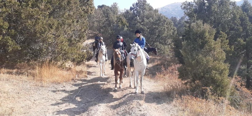 Tashkent: 3-Day Horseback Riding Tour in Chimgan Mountains - Day two: Chet Kumbel Pass and the high meadows
