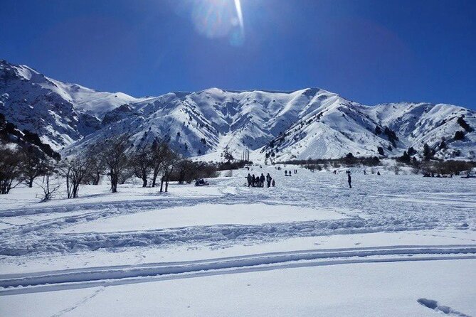 Tashkent Mountain Tour Amirsoy with Transport - Lunch, extra fees, and the real cost