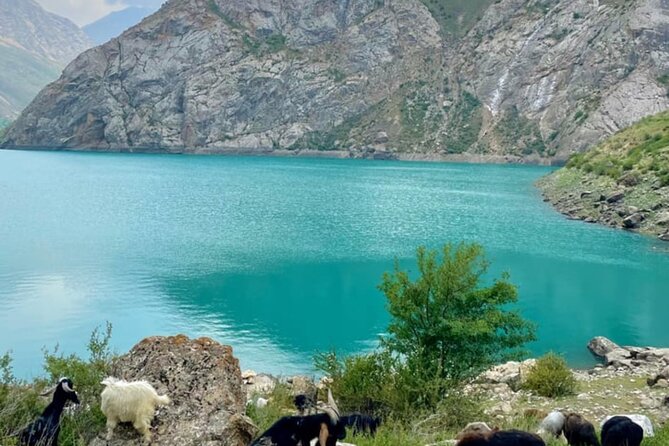 Tashkent Tour at Amirsoy, Chimgan Mountains and Charvak lake - Key points to know before booking