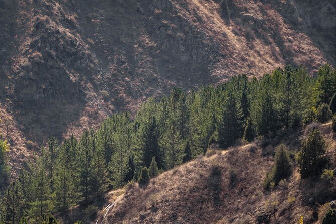 Tashkent Tour at Amirsoy, Chimgan Mountains and Charvak lake - Weather changes the character of the tour