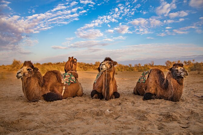 Transfer from Khiva to Bukhara by Fortresses - Why this transfer is more than a ride