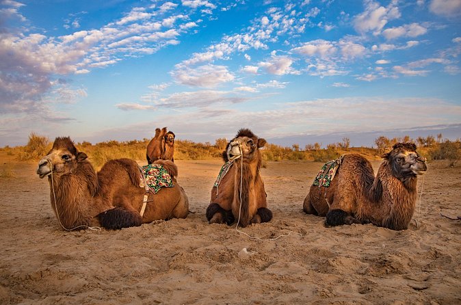 Transfer from Khiva to Bukhara by Fortresses - Timing, weather, and sensible expectations