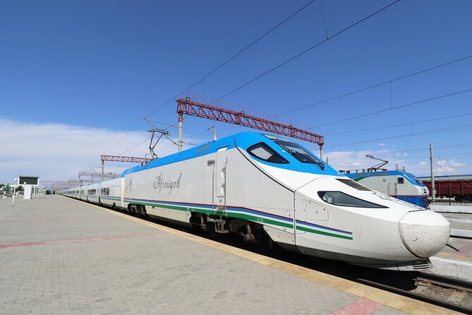 Uzbekistan 3 Day Private Tour Tashkent-Bukhara-Samarkand Bullet Train - Day two: free Bukhara time and the train to Samarkand