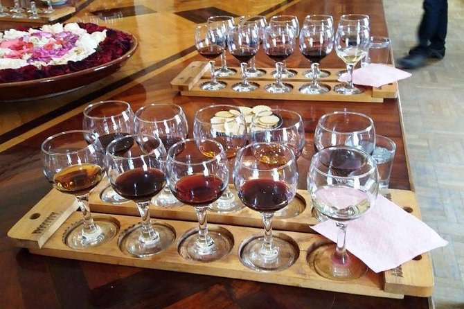 Wine Tasting Tour in Samarkand - Arriving at the Hovrenko Wine Factory